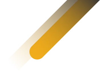 graphic section 1